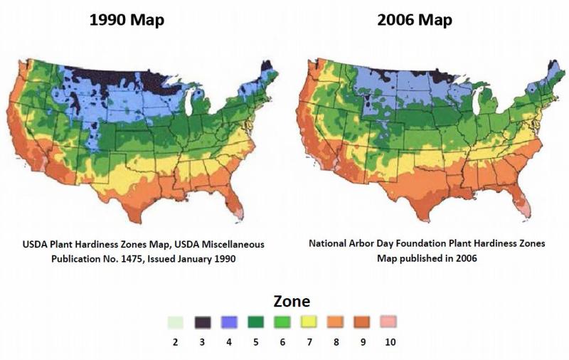 Plant Hardiness Zones 1990 and 2006