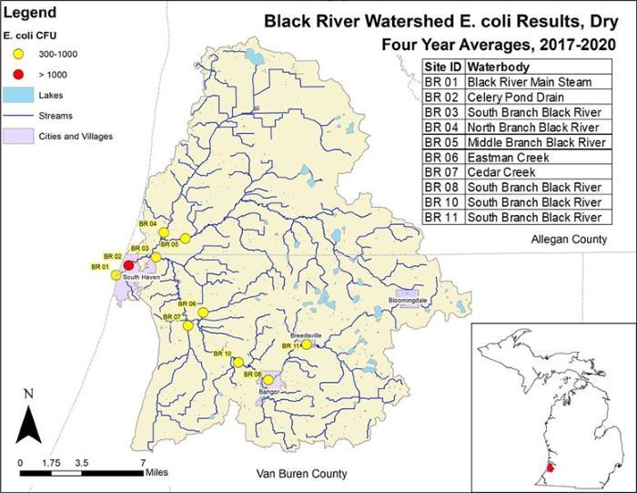 Black River - Ecoli - Dry