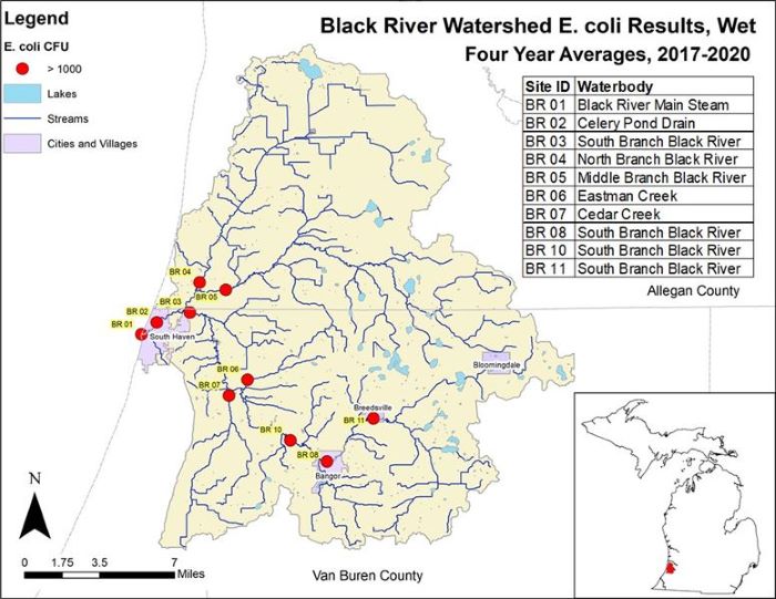 Black River - Ecoli - Wet