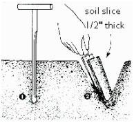 soil_sample_1.jpg