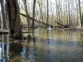 Kenneth paddling through a bayou on the floodplain [Click here to view full size picture]