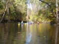 Flotilla of Two Rivers Coalition paddlers and friends [Click here to view full size picture]