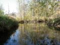 Looking down Pine Creek to confluence with main stem [Click here to view full size picture]