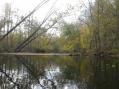 Large oxbow near Bundy Road [Click here to view full size picture]