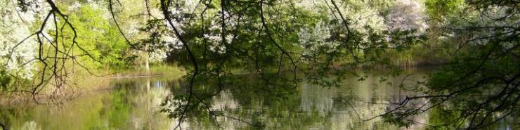 Crabapple Pond [Click here to view full size picture]