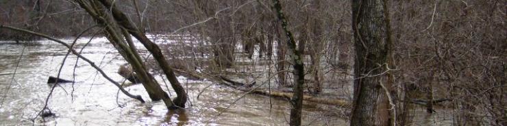 Paw Paw River in the Spring [Click here to view full size picture]