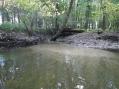 Creek entering portion of river destined to becoming an oxbow in the near future [Click to open page http://www.youtube.com/watch?v=pD3qy53db3U in a new window